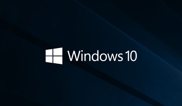 windows 10 w600