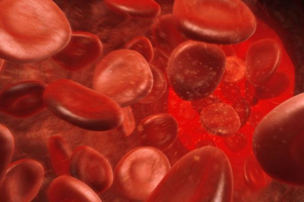 red blood cells 56d096f45f9b5879cc6ddc3e w600