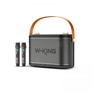 W-King T10 Wireless Speaker