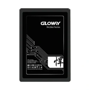Gloway FER Series 960GB Internal SSD Drive-1
